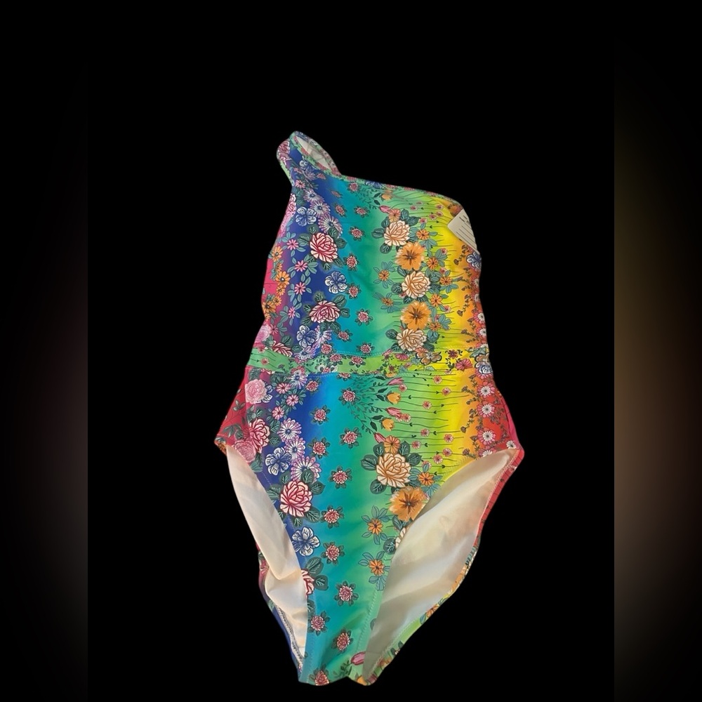New With Sample Tag- Johnny Was Ombré Floral One Shoulder swimsuit- SMALL